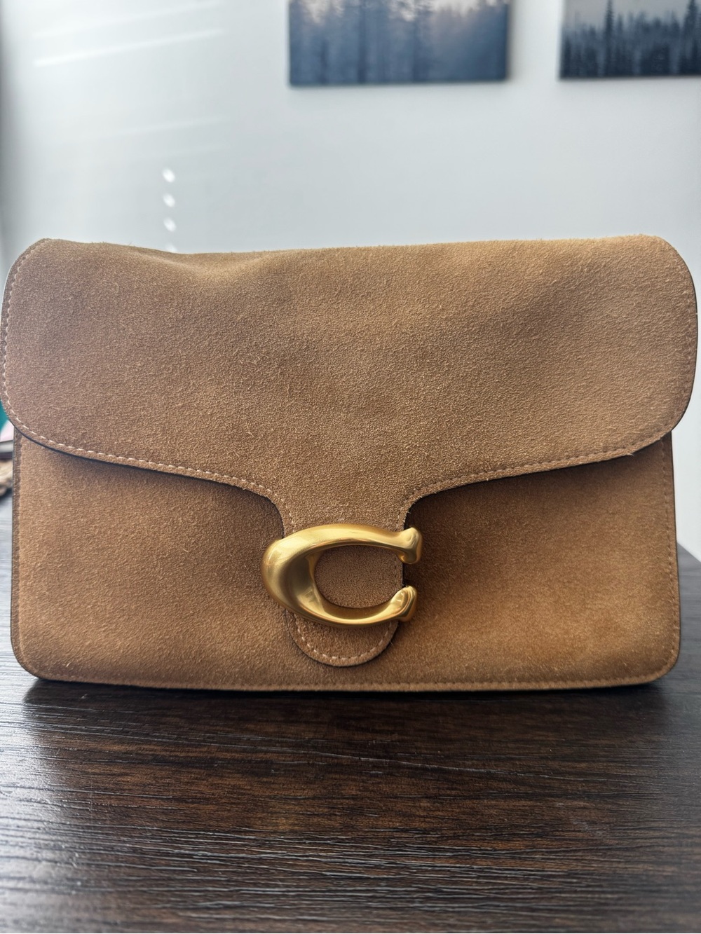 Coach Suede Tabby Shoulder Bag